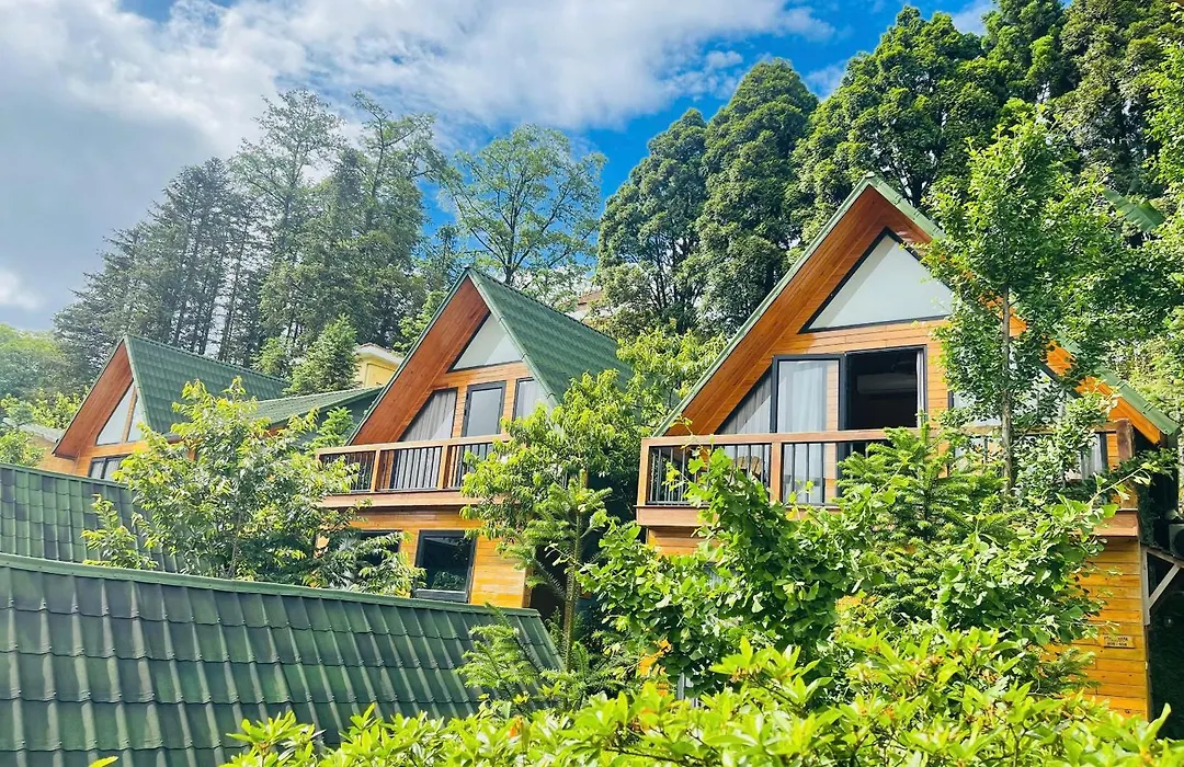 Sapa Pine Hill Eco Lodge-1