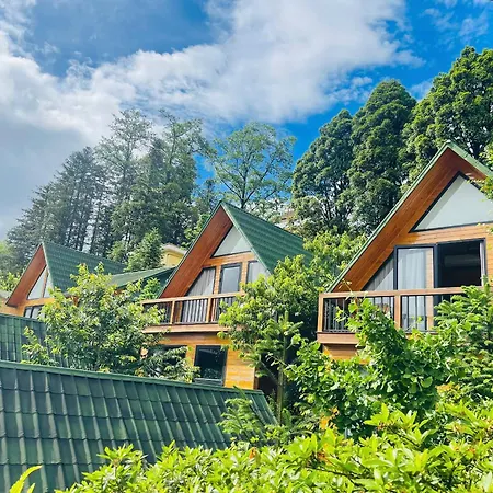 Sapa Pine Hill Eco Lodge-3